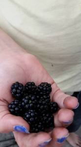 12549094_10153204940727035_8970036711776727644_n