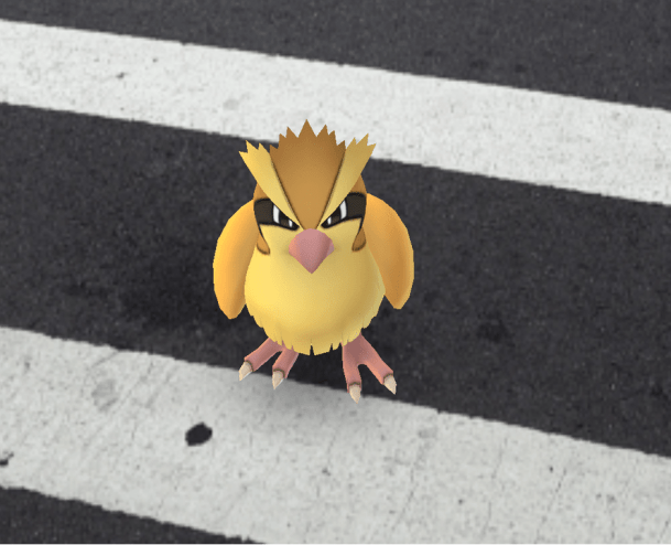 pokemon-go-pidgey.png